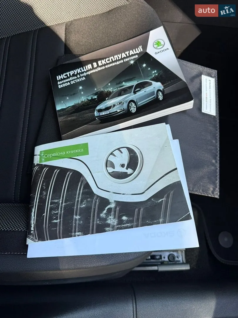 2017 Skoda Octavia - мініатюра 24