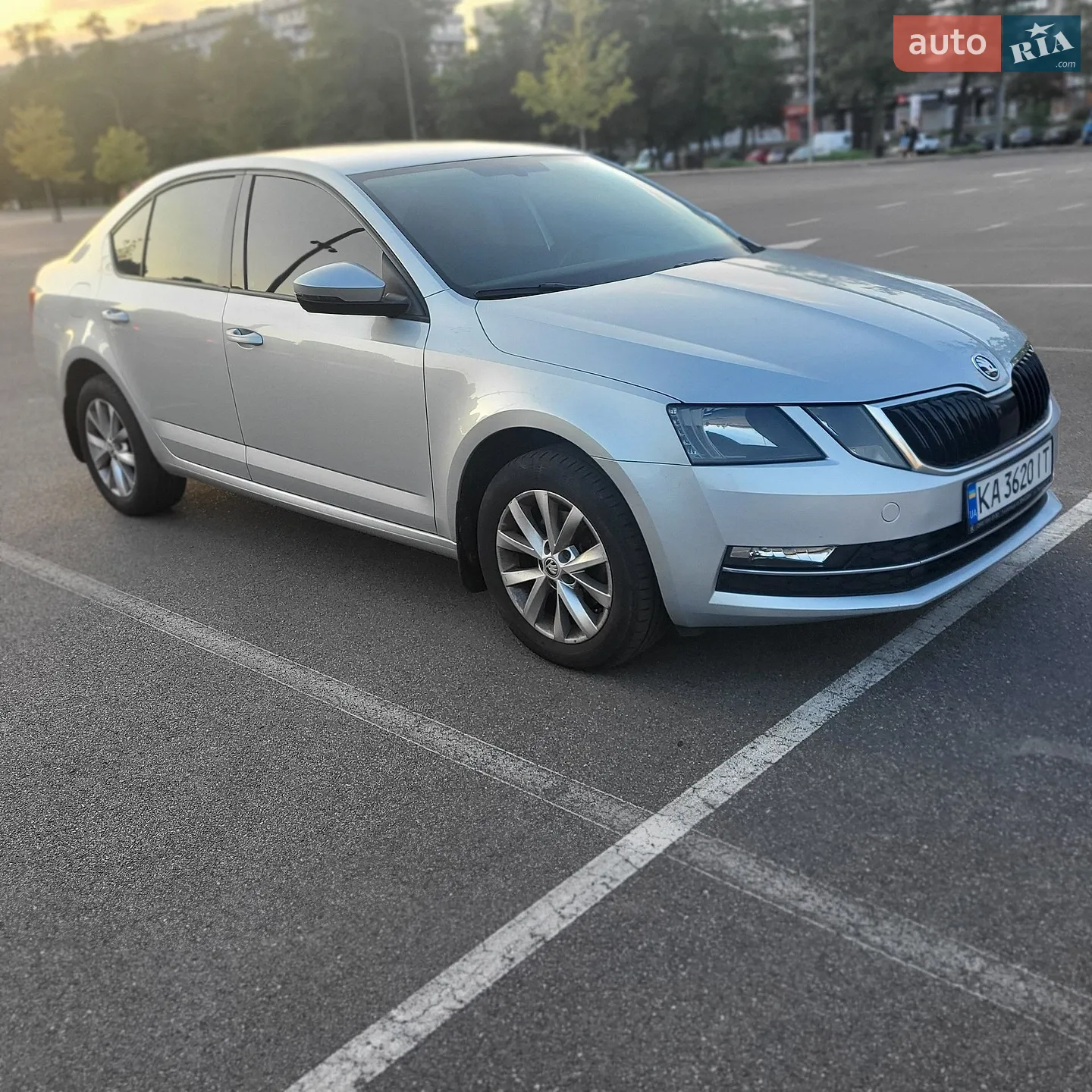 2019 Skoda Octavia - фото 1