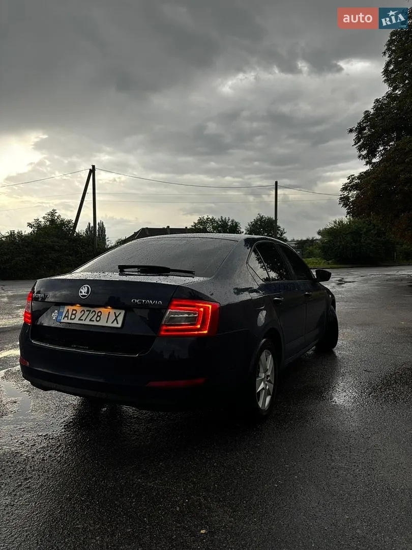 2016 Skoda Octavia - мініатюра 8