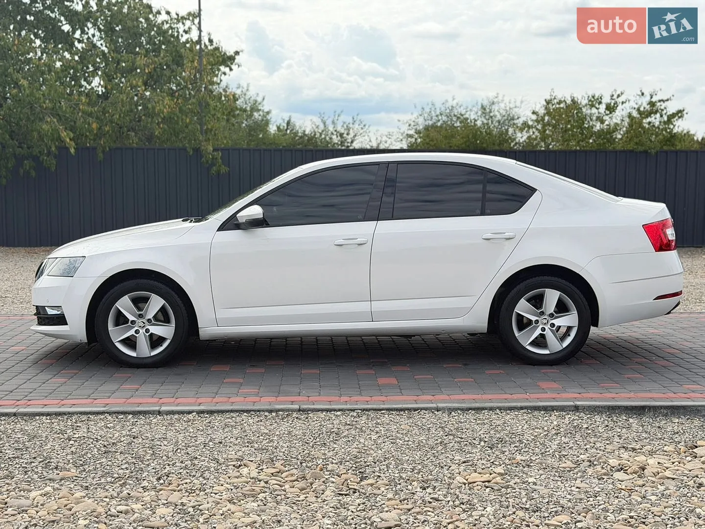 2019 Skoda Octavia - мініатюра 11