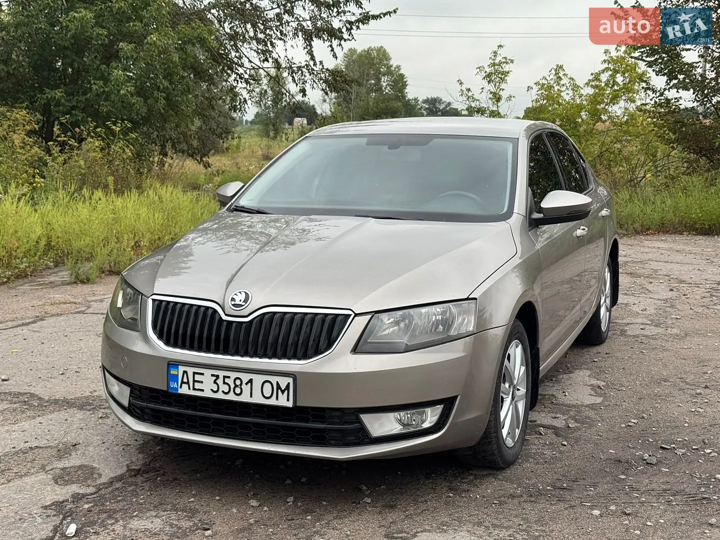 2013 Skoda Octavia - мініатюра 3