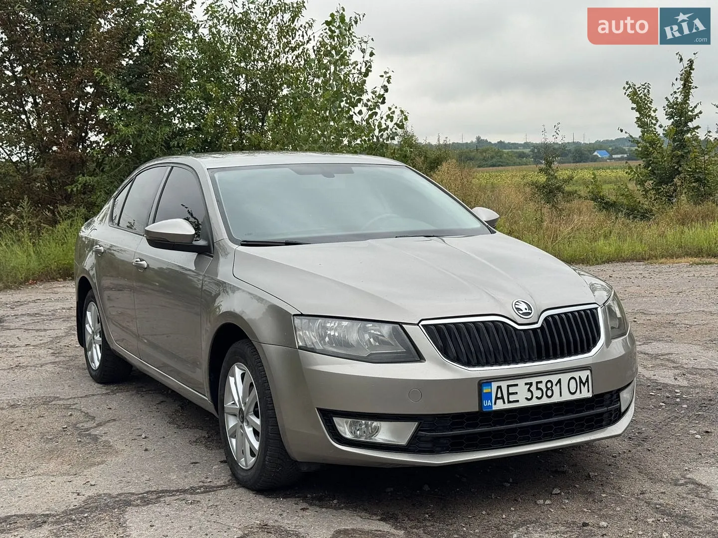 2013 Skoda Octavia - мініатюра 2