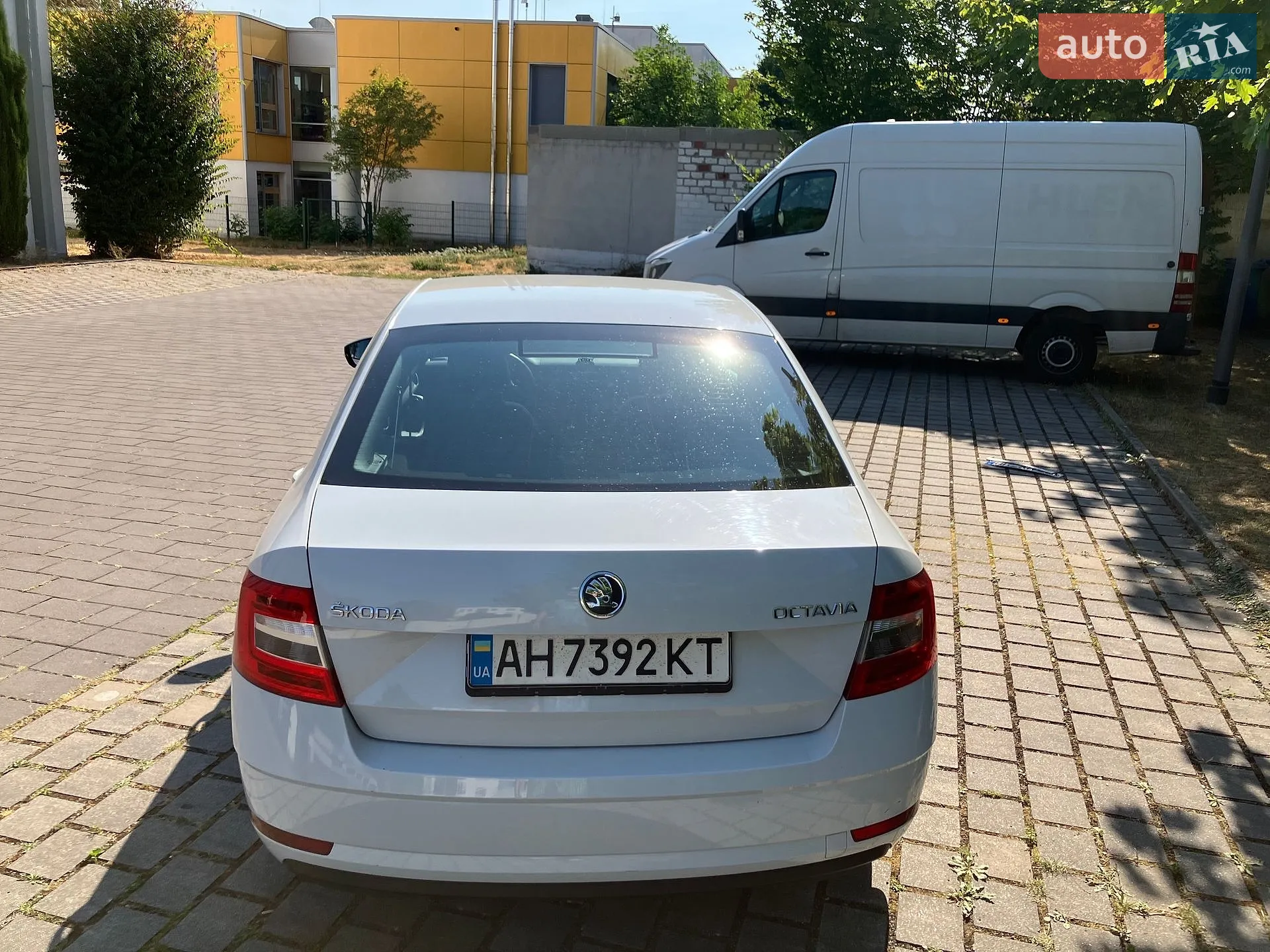 2019 Skoda Octavia - мініатюра 8