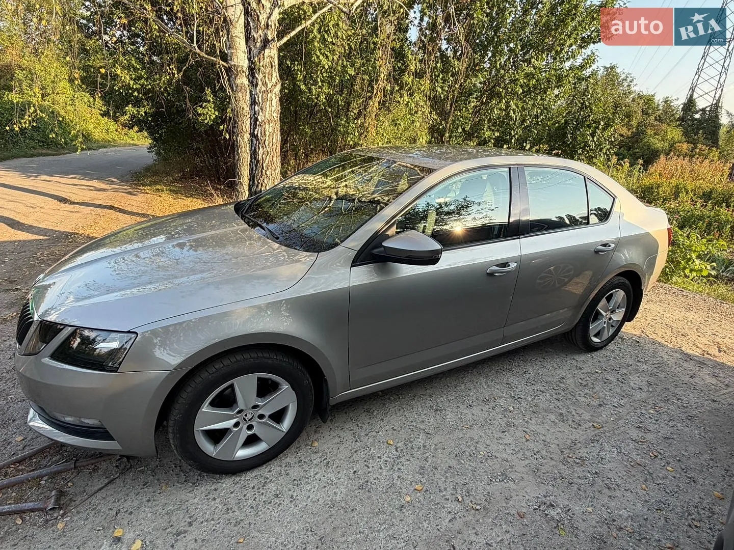 2018 Skoda Octavia - мініатюра 2
