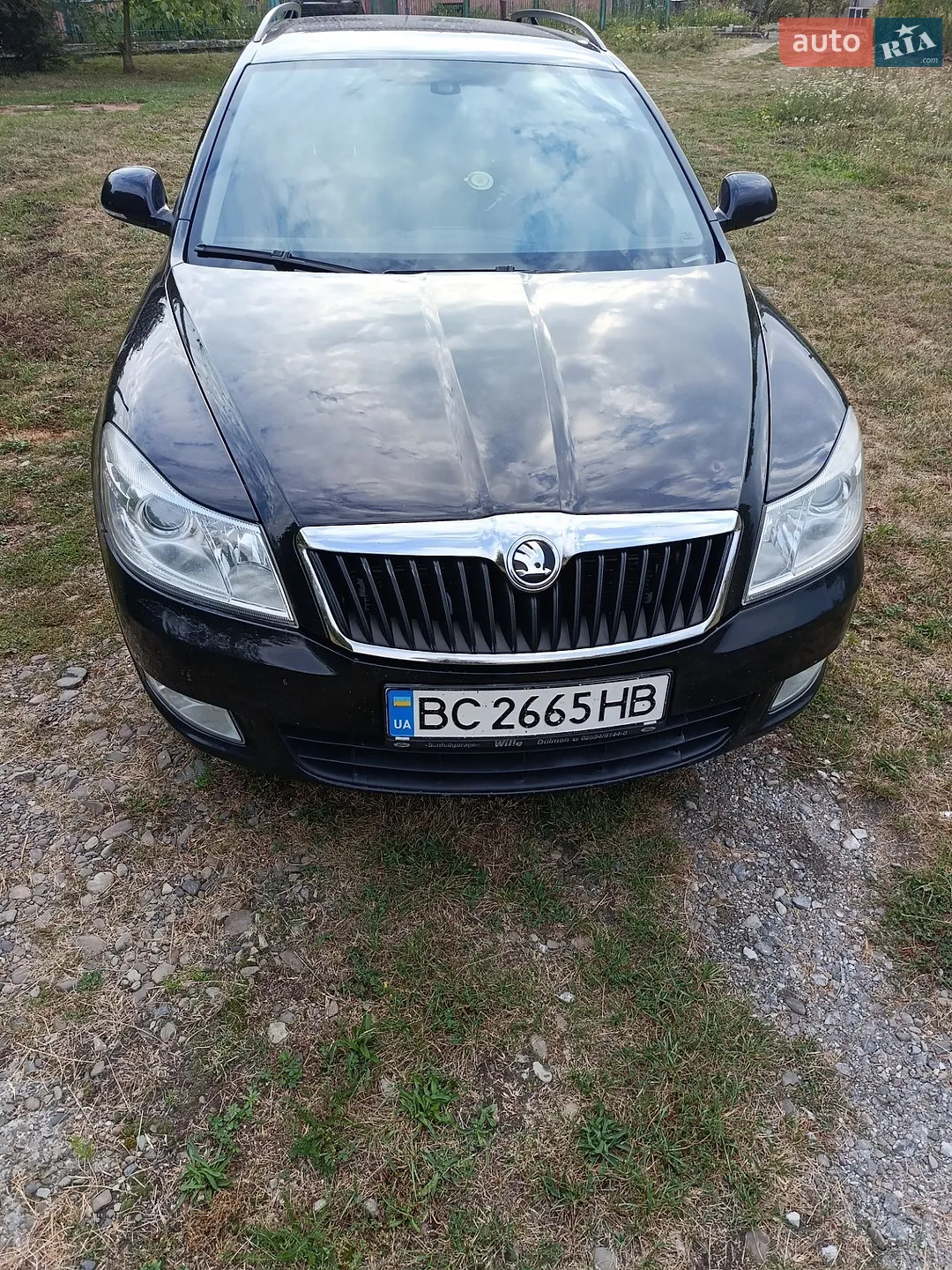 2010 Skoda Octavia - фото 1