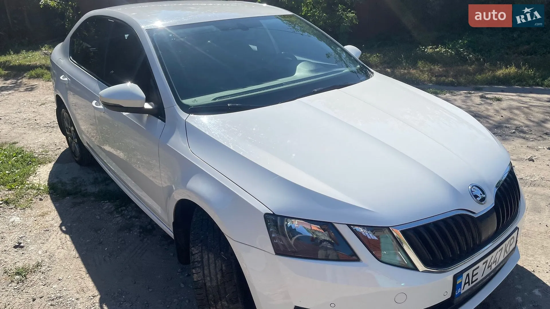 2018 Skoda Octavia - мініатюра 14