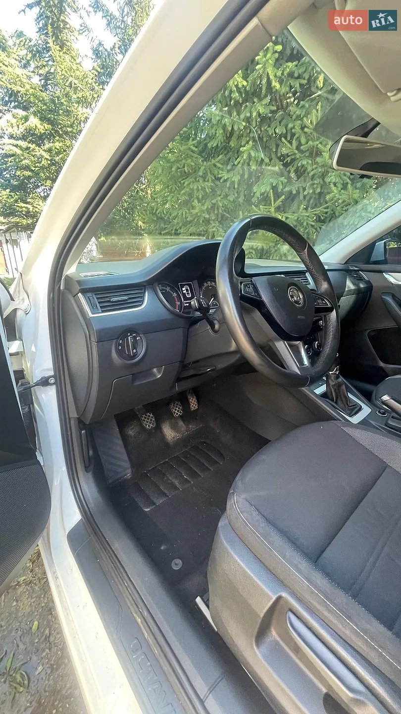 2018 Skoda Octavia - мініатюра 34