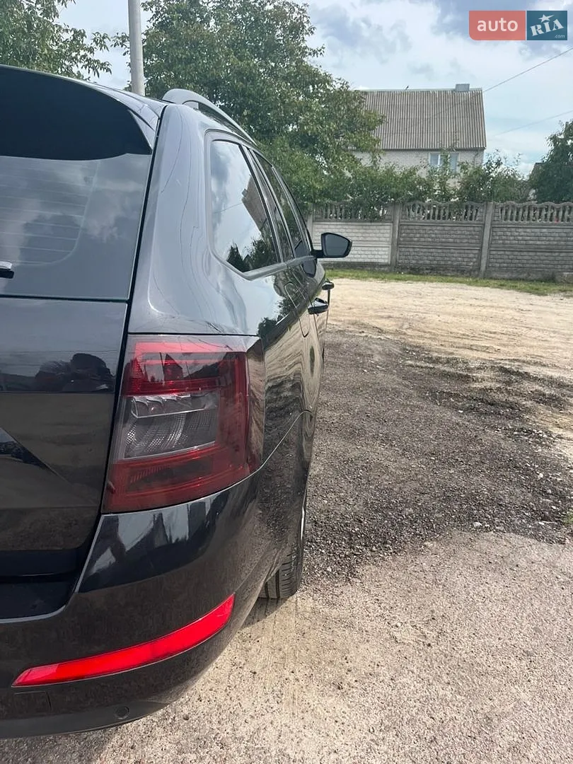 2014 Skoda Octavia - мініатюра 11