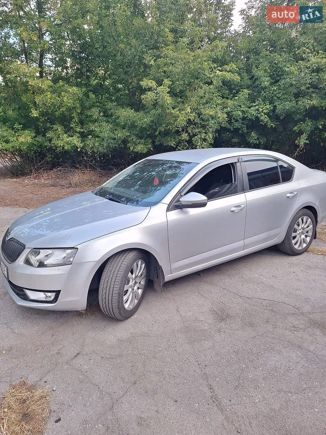 2013 Skoda Octavia - фото 1
