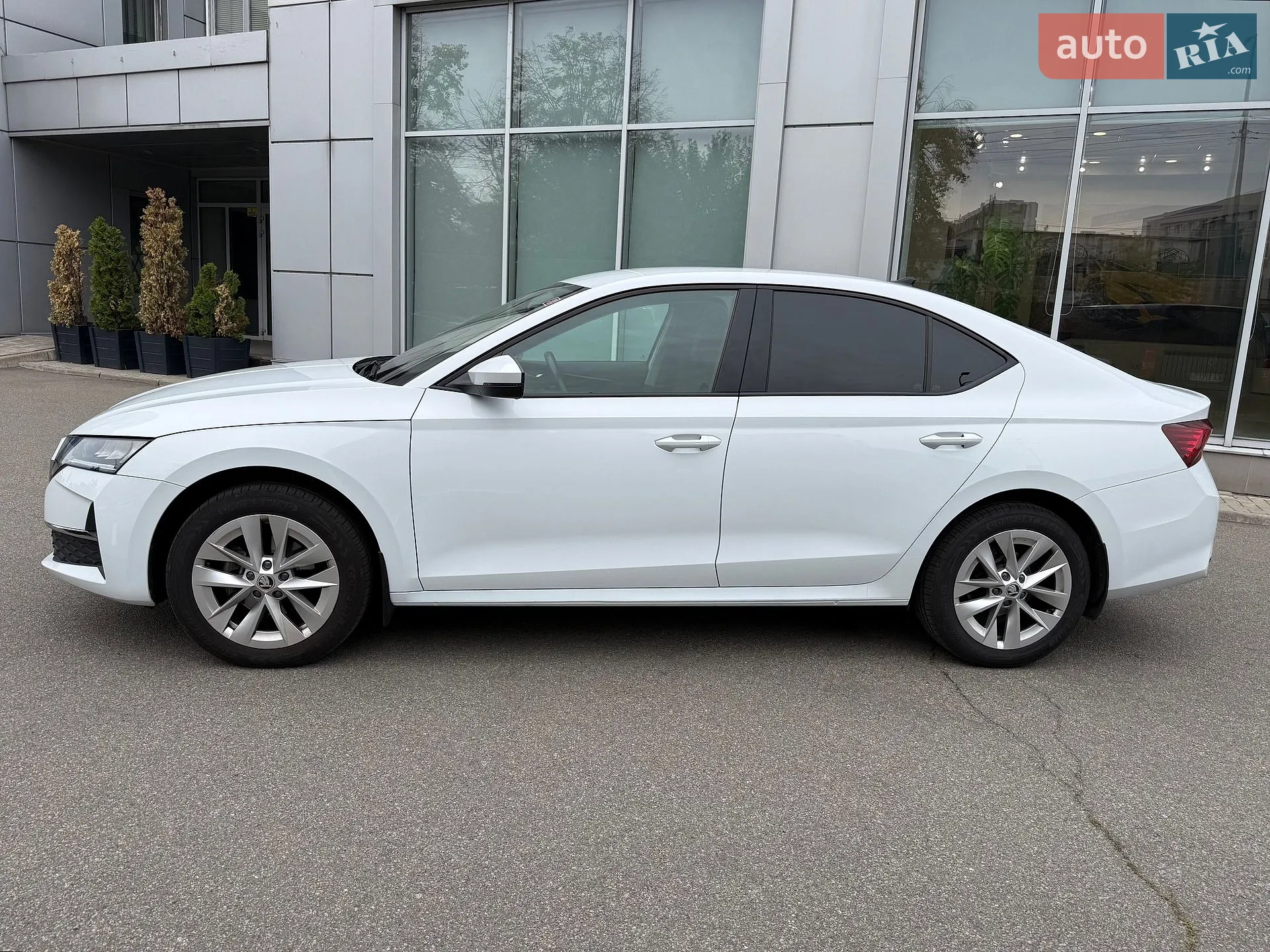 2024 Skoda Octavia - мініатюра 2