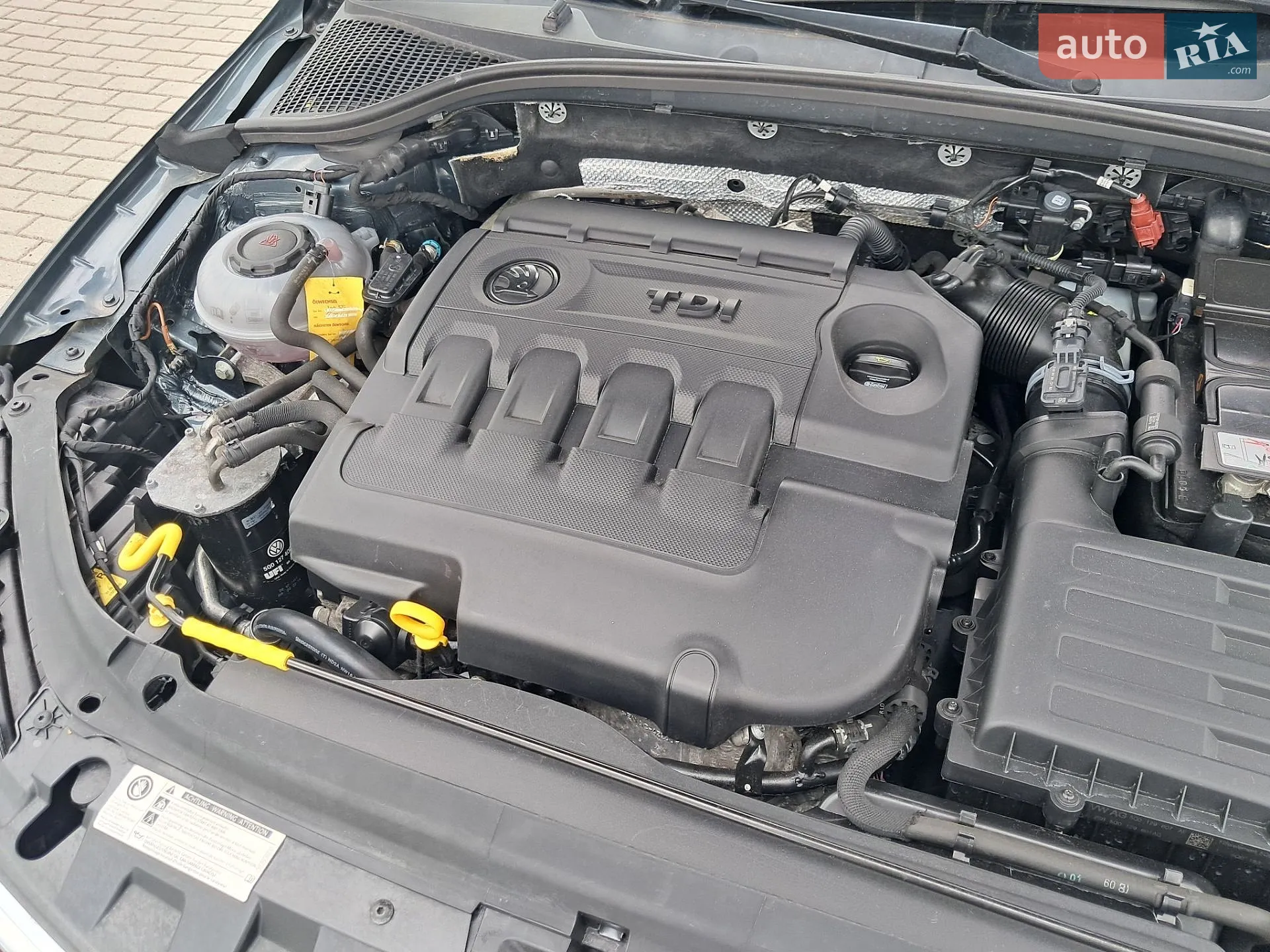 2018 Skoda Octavia - мініатюра 28