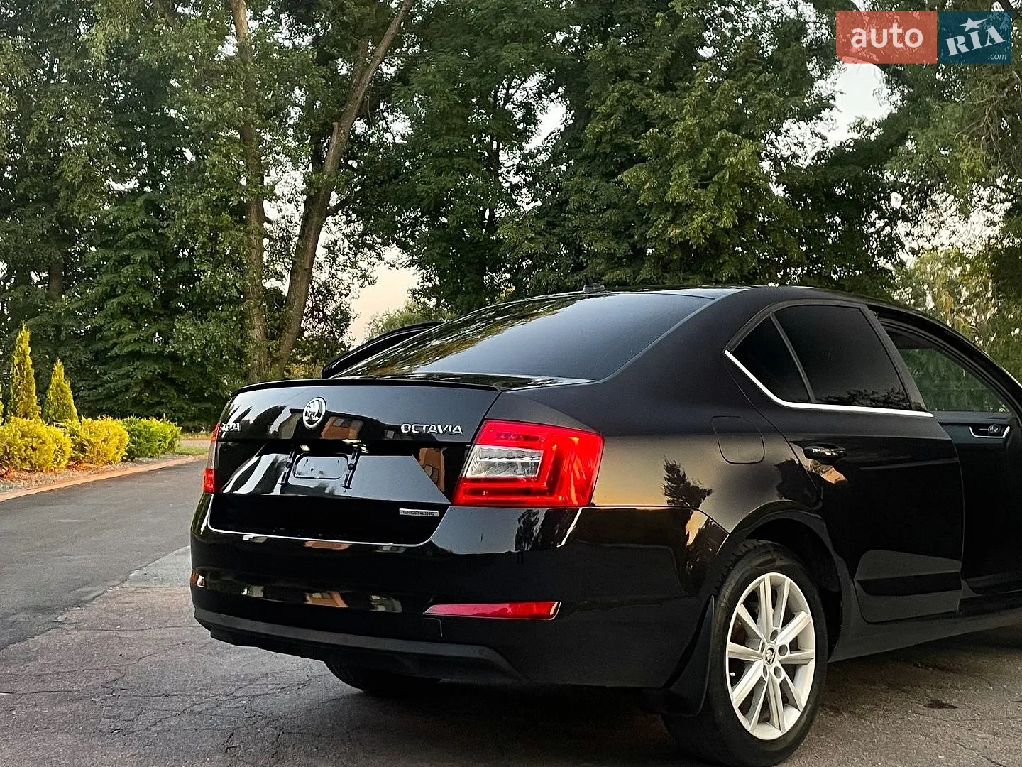 2015 Skoda Octavia - мініатюра 7