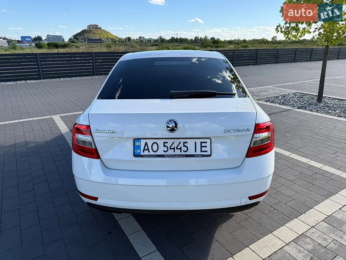 2017 Skoda Octavia - мініатюра 9