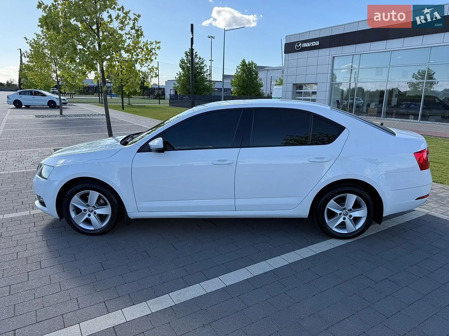 2017 Skoda Octavia - мініатюра 7