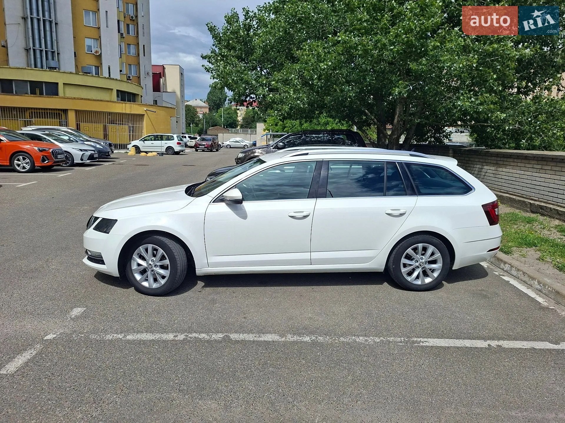 2019 Skoda Octavia - мініатюра 8