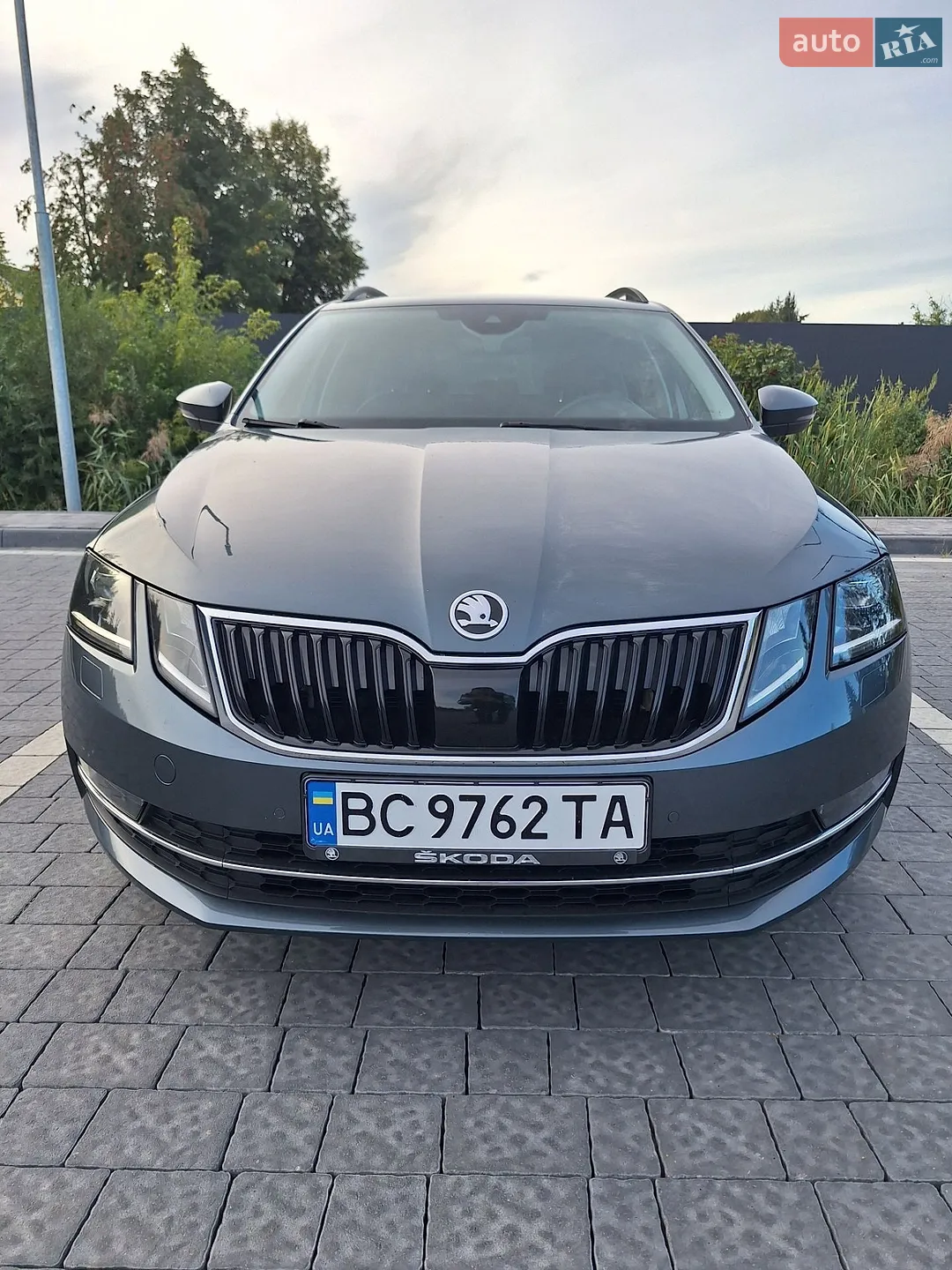 2019 Skoda Octavia - фото 1