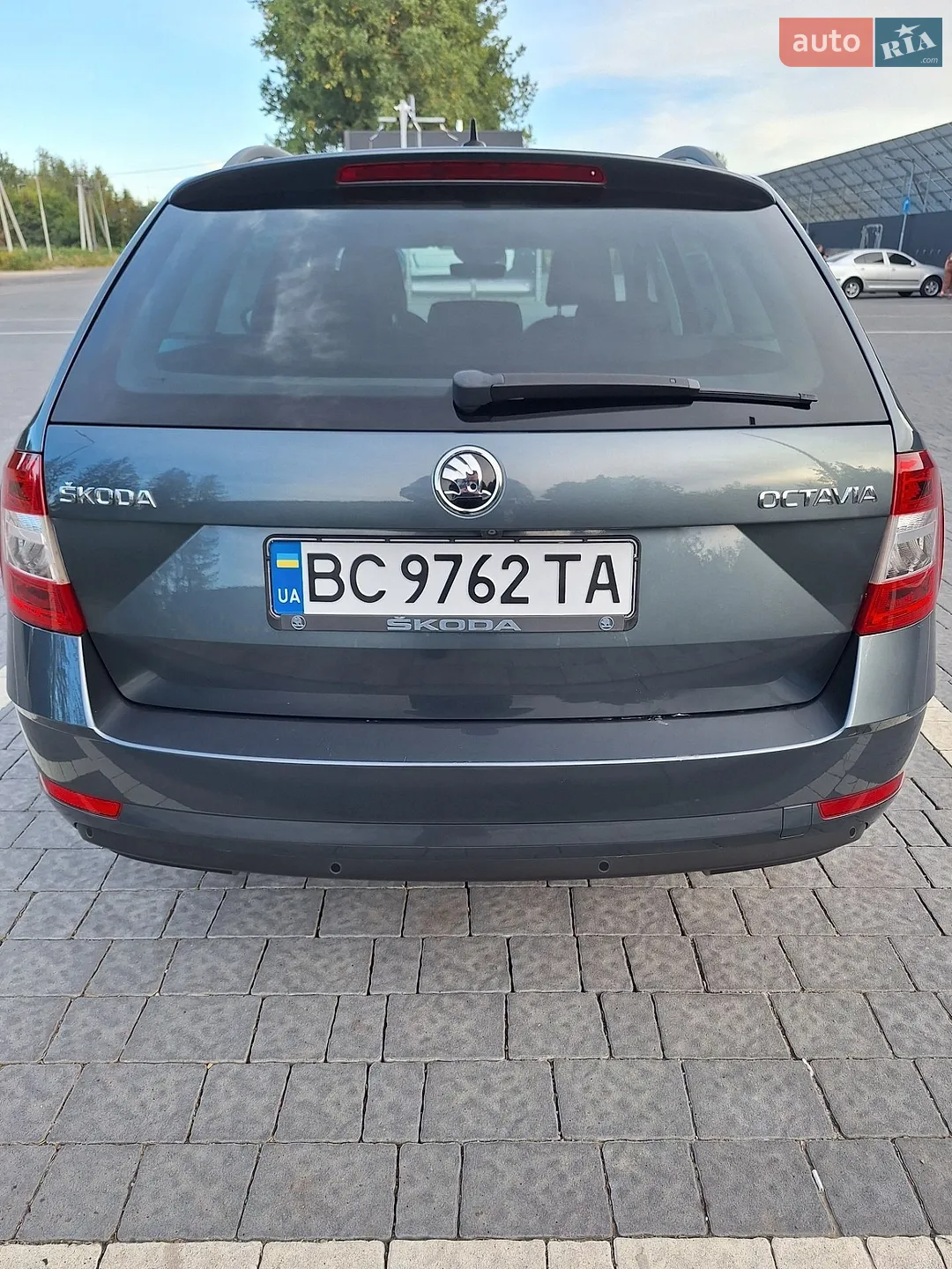 2019 Skoda Octavia - мініатюра 8