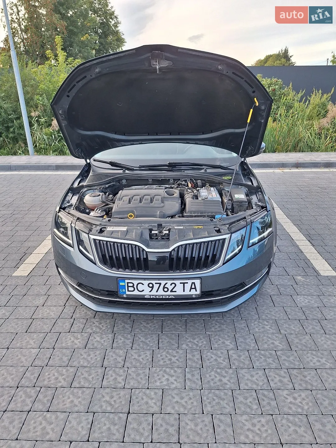 2019 Skoda Octavia - мініатюра 11