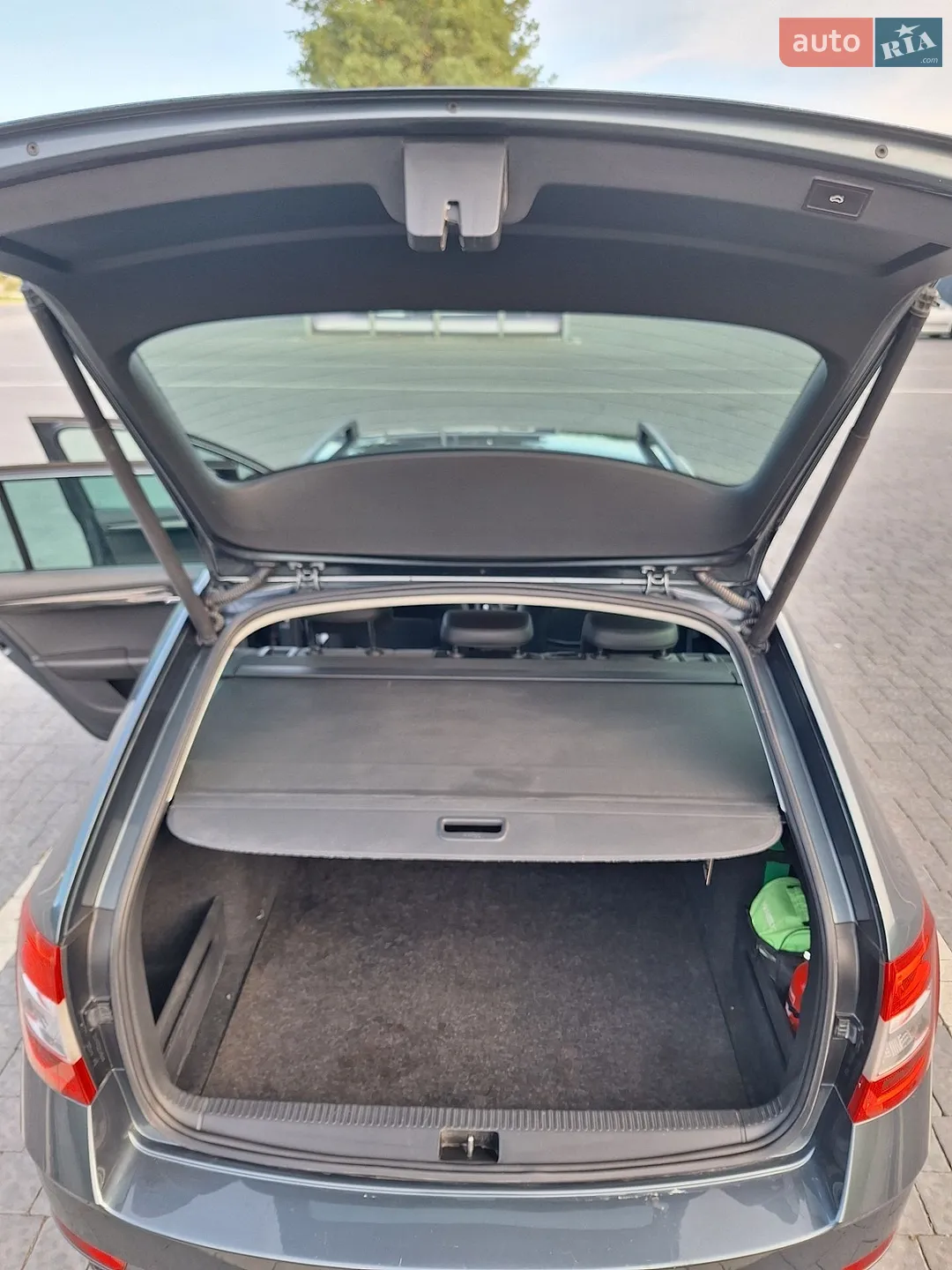 2019 Skoda Octavia - мініатюра 25