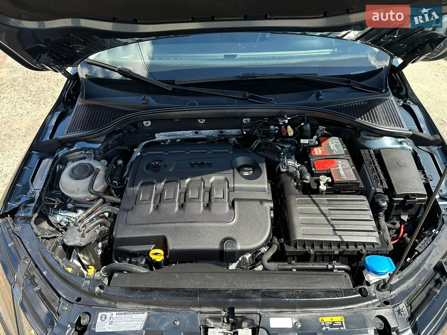 2019 Skoda Octavia - мініатюра 28
