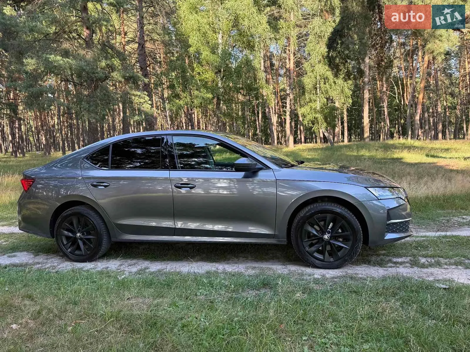 2024 Skoda Octavia - мініатюра 13