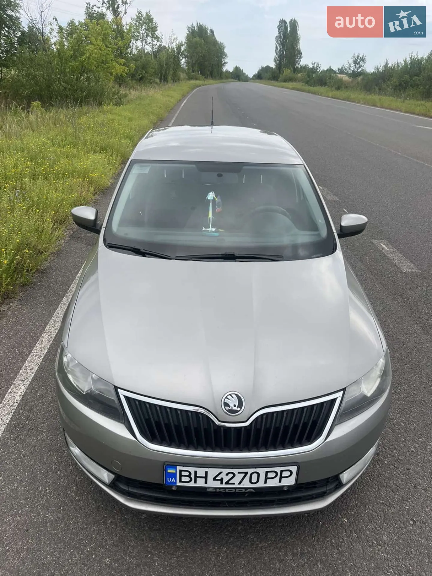 2013 Skoda Rapid - мініатюра 3