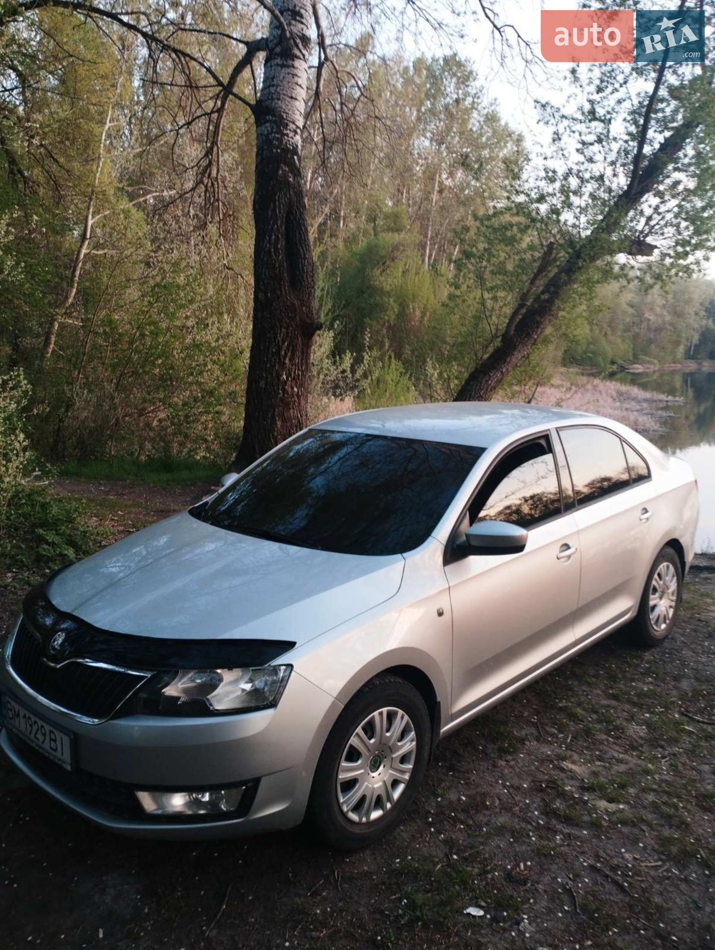 2013 Skoda Rapid - мініатюра 3