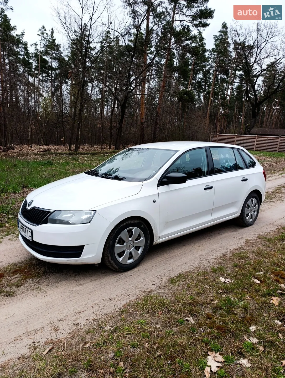 2014 Skoda Rapid - фото 1