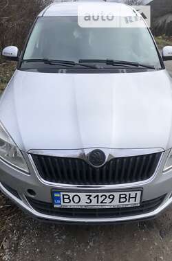 Микровэн Skoda Roomster 2010 в Теребовле