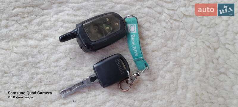 Мікровен Skoda Roomster 2008 в Городенці