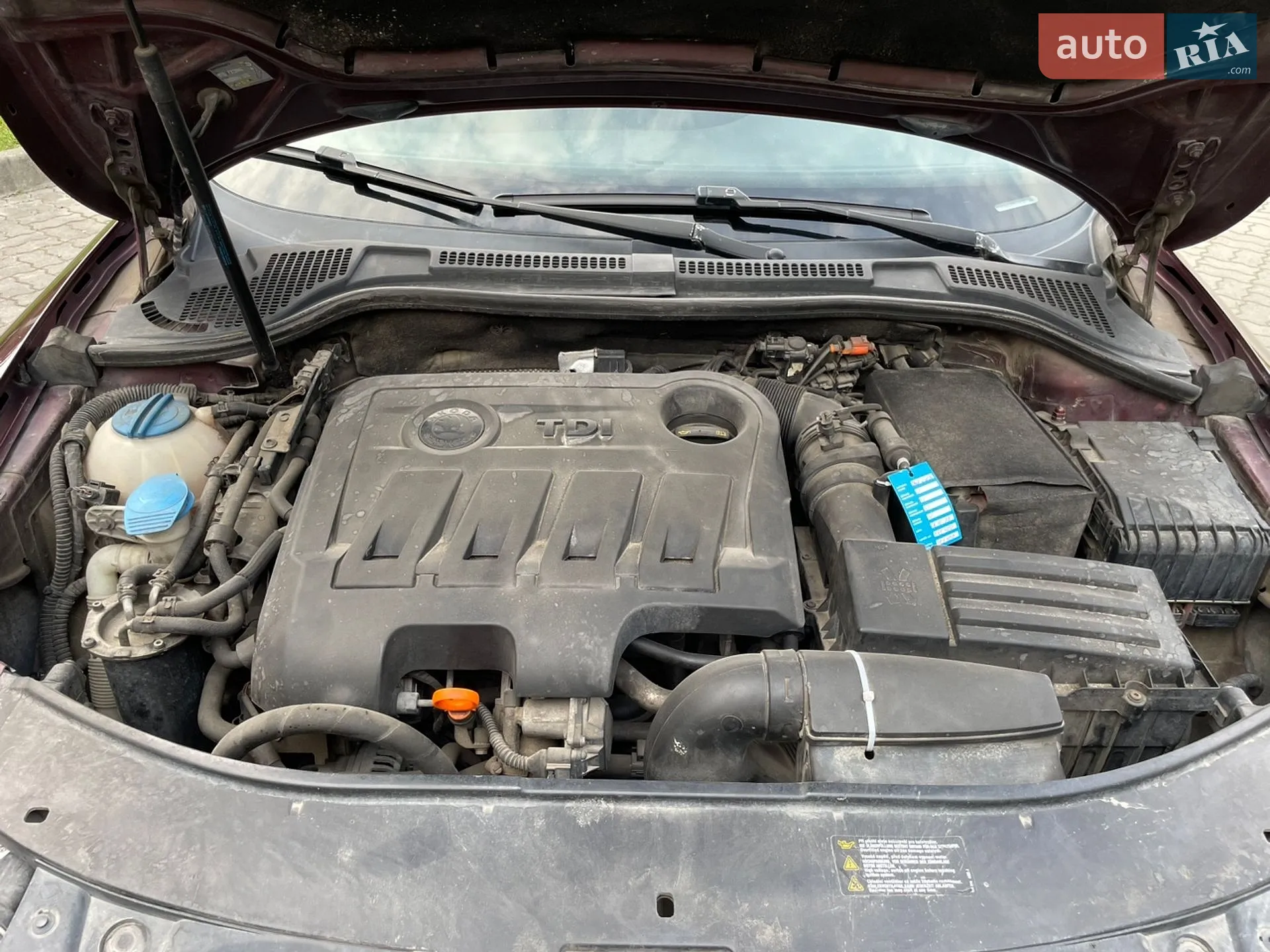 2010 Skoda Superb - мініатюра 47