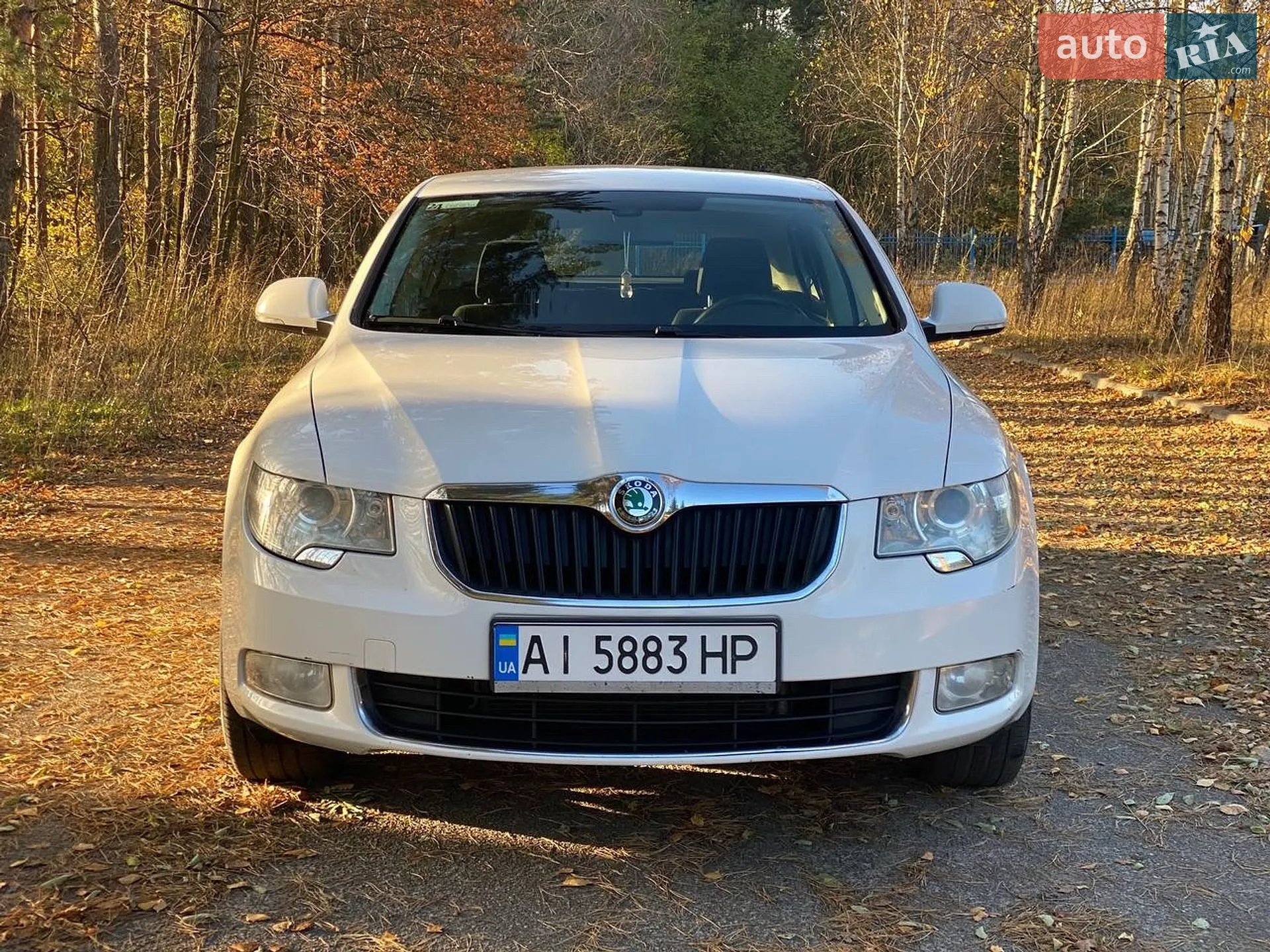 2012 Skoda Superb - мініатюра 2