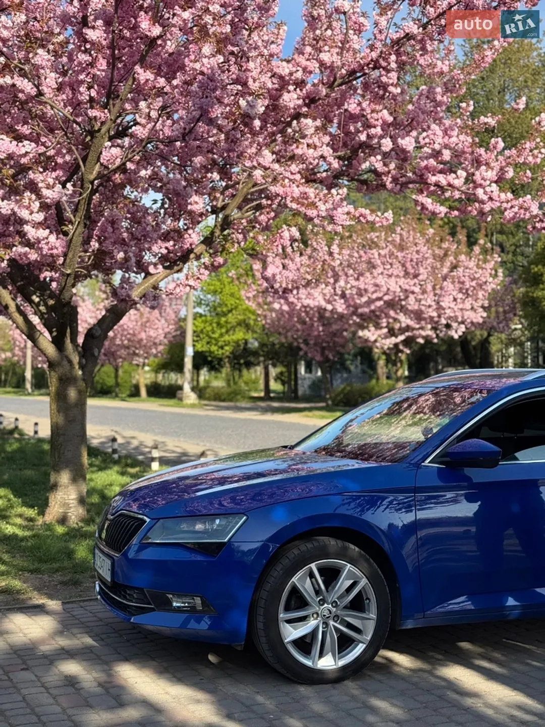 2019 Skoda Superb - мініатюра 4