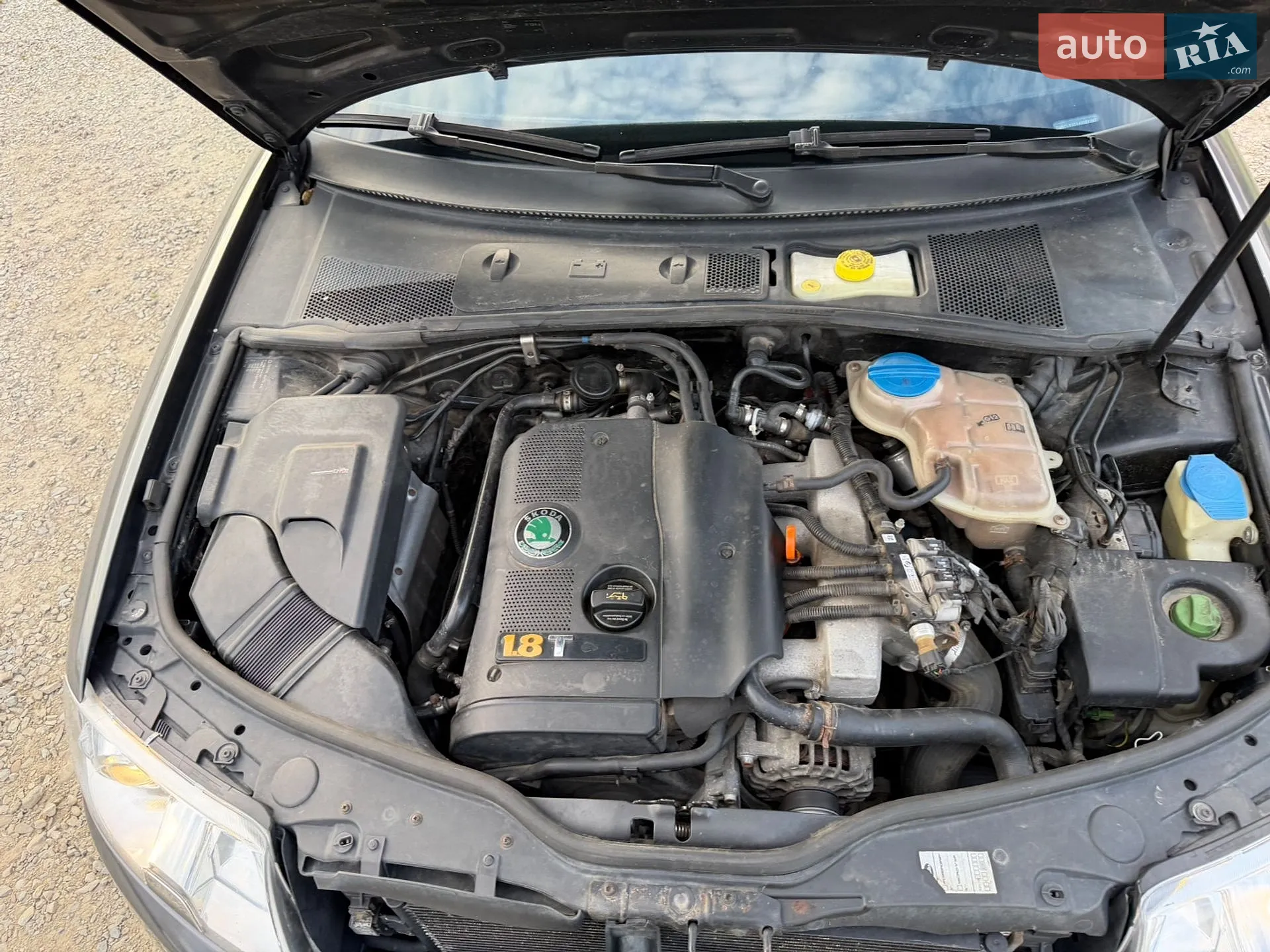 Skoda Superb 2005 VIN TMBCL63U149069397 фото оголошення 33 з 36