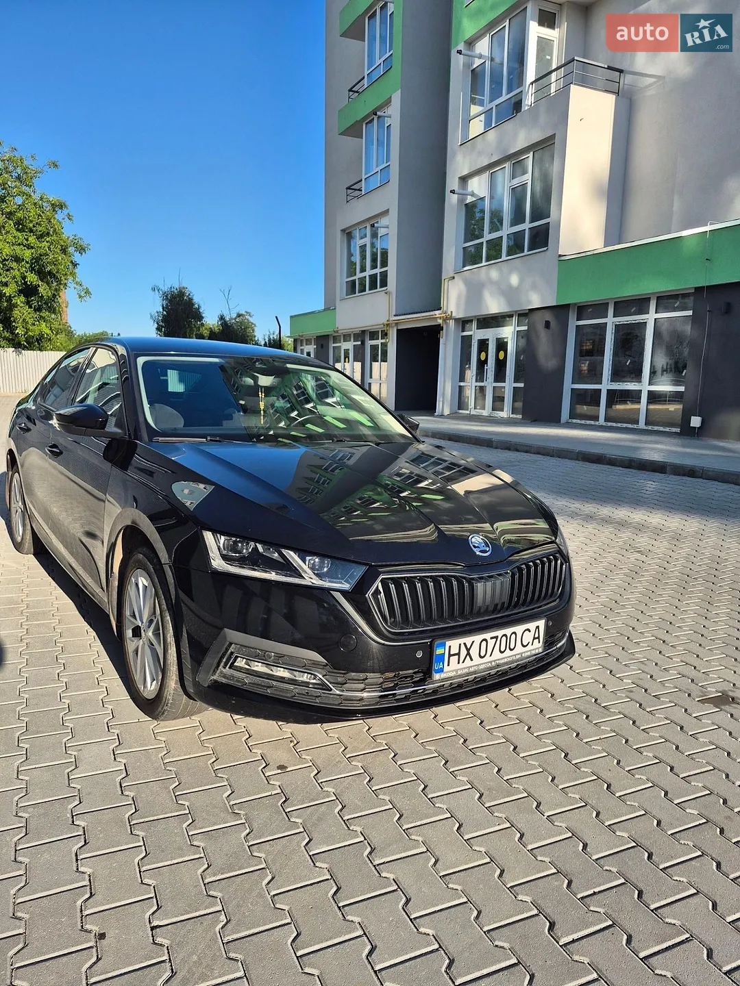 2020 Skoda Octavia - мініатюра 2