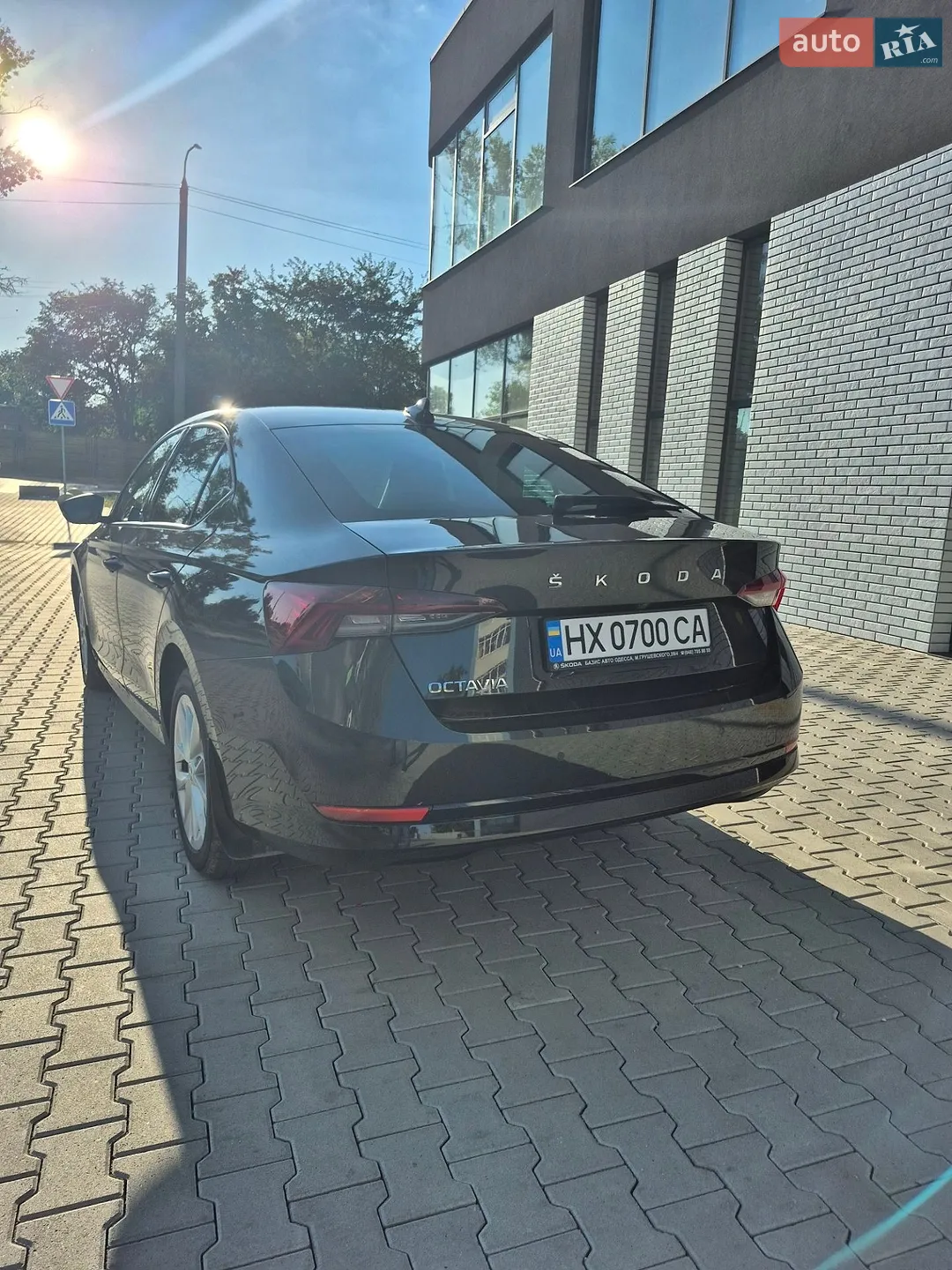 2020 Skoda Octavia - мініатюра 4