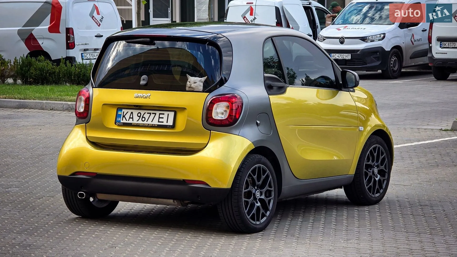 2016 Smart Fortwo - мініатюра 5
