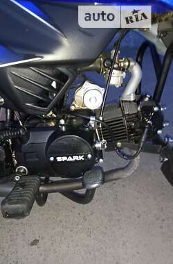 Мотоцикл Многоцелевой (All-round) Spark SP 125C-2CD 2021 в Лысянке
