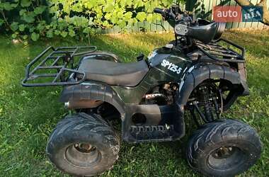 Квадроцикл утилітарний Spark SP 125R 2016 в Дніпрі