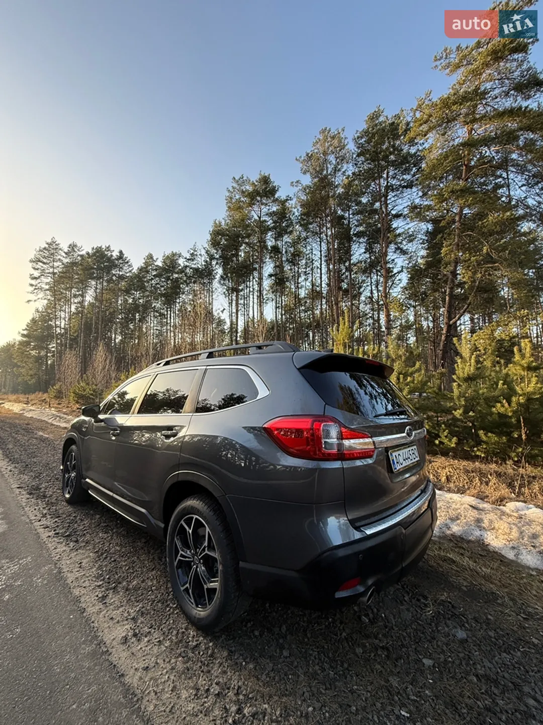 2019 Subaru Ascent - мініатюра 4