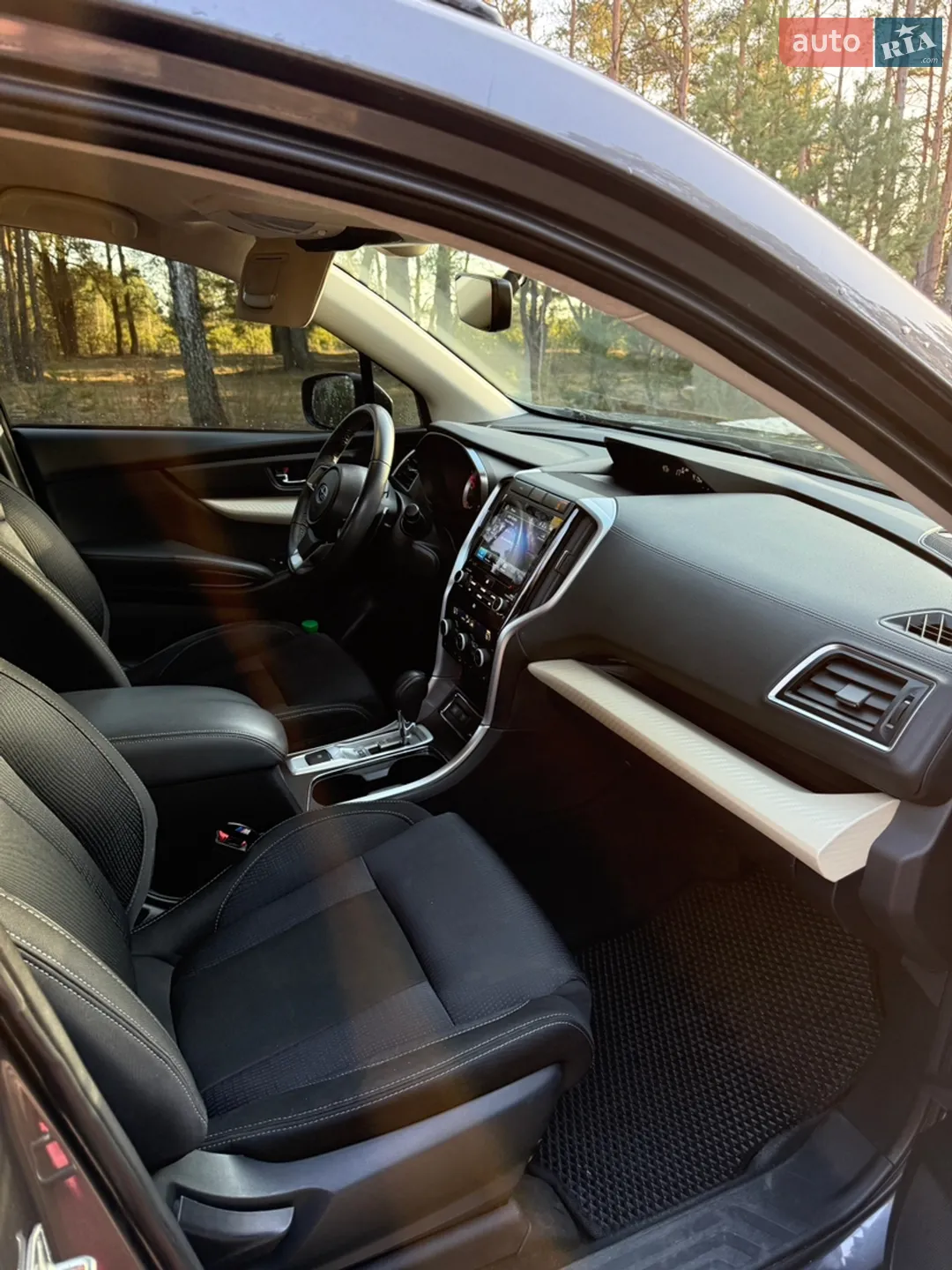 2019 Subaru Ascent - мініатюра 10