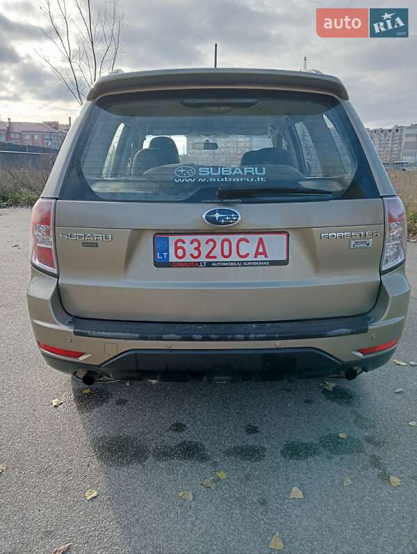 Внедорожник / Кроссовер Subaru Forester 2009 в Чернигове фото 3 Внедорожник / Кроссовер Subaru Forester 2009 в Чернигове