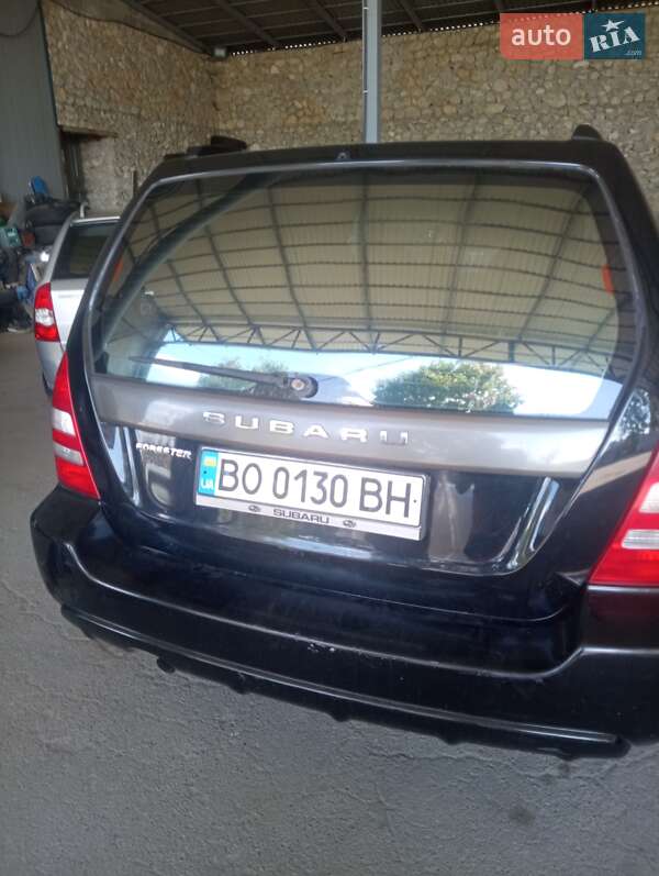Внедорожник / Кроссовер Subaru Forester 2004 в Бережанах фото 5 Внедорожник / Кроссовер Subaru Forester 2004 в Бережанах