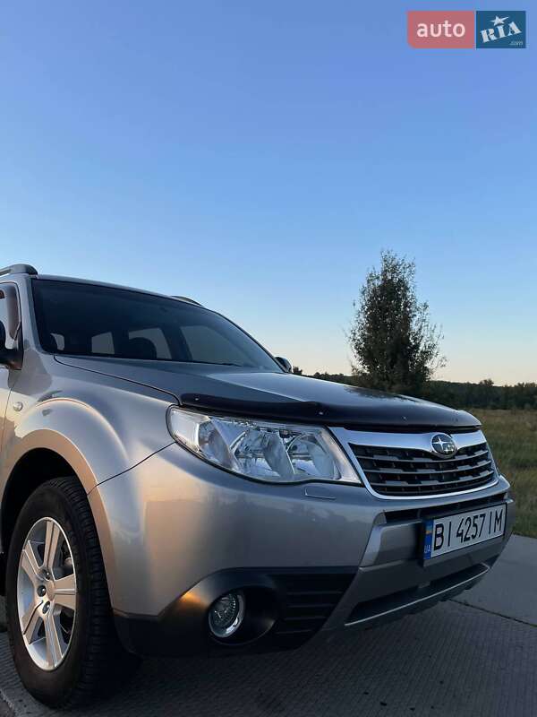 Внедорожник / Кроссовер Subaru Forester 2008 в Гадяче