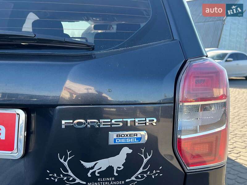 Внедорожник / Кроссовер Subaru Forester 2013 в Львове фото 11 Внедорожник / Кроссовер Subaru Forester 2013 в Львове