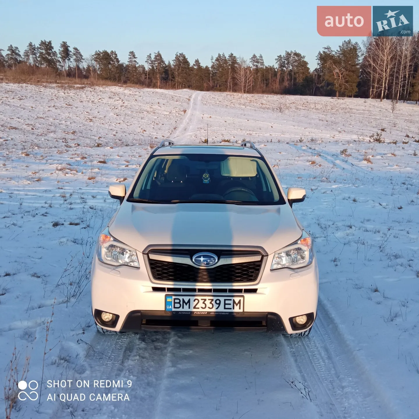 2014 Subaru Forester - фото 1