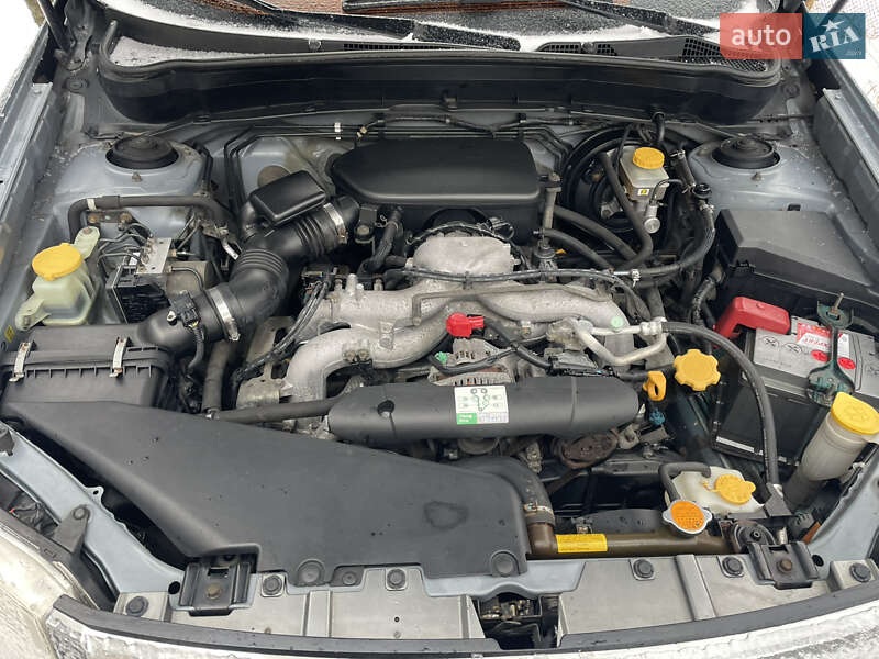 Внедорожник / Кроссовер Subaru Forester 2008 в Киеве