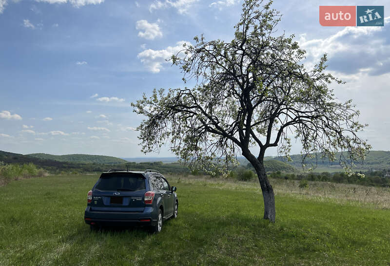 Внедорожник / Кроссовер Subaru Forester 2014 в Киеве фото 7 Внедорожник / Кроссовер Subaru Forester 2014 в Киеве