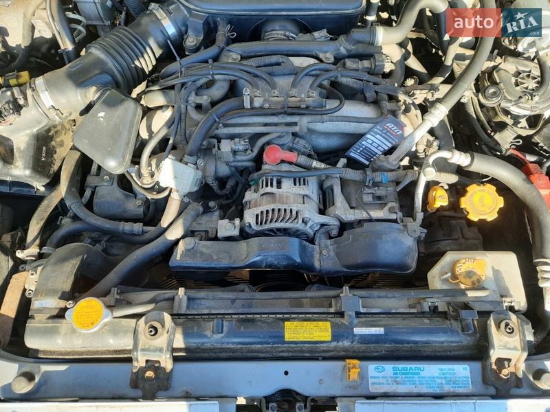 Позашляховик / Кросовер Subaru Forester 2006 в Броварах