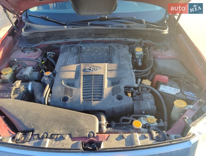Внедорожник / Кроссовер Subaru Forester 2008 в Киеве